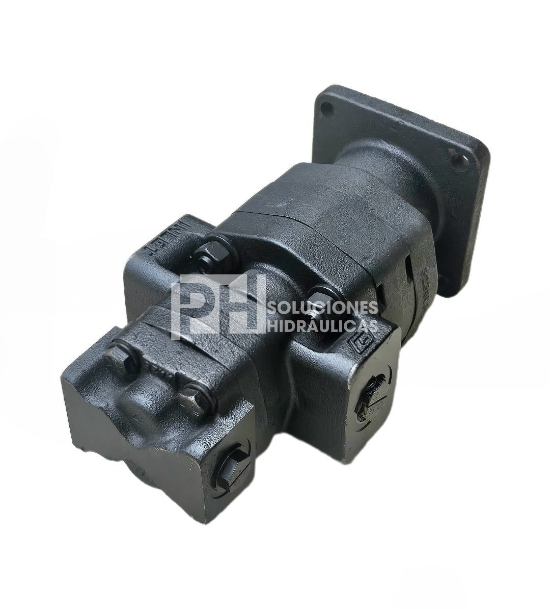 Bomba doble CASE super 580L / super 580M / # CASE 257954A1